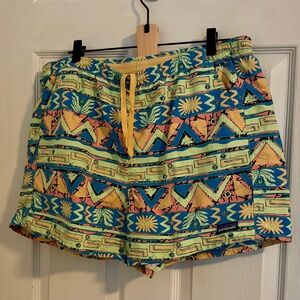 Patagonia Baggies Bright Print